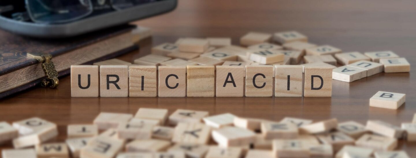 uric acid word or concept represented by wooden letter tiles on a wooden table
